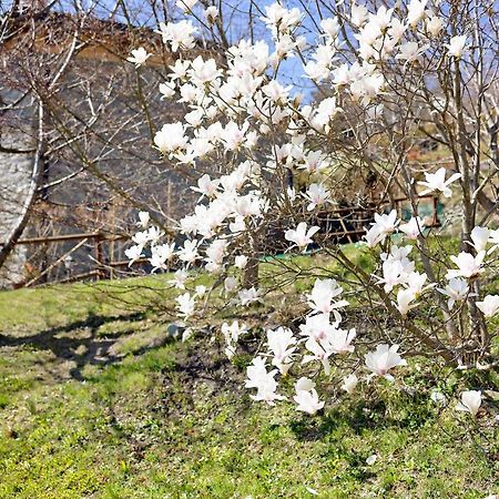 Ormea Casa Dei Tigliヴィラ エクステリア 写真